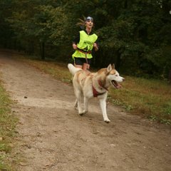 Wyścigi psich zaprzęgów (zdjęcie nr DSC03342)